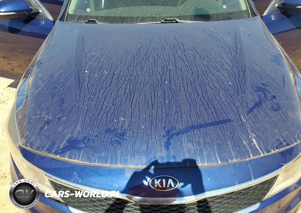 2017 Kia Optima Lx VIN:5XXGT4L34HG123345 - 11