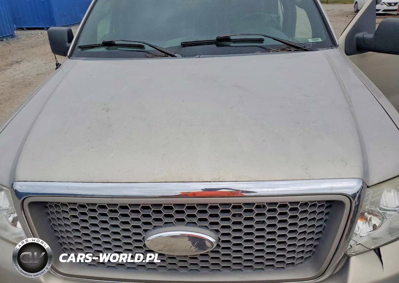 2006 Ford F150 Supercrew VIN:1FTPW14516FA13984 - 11