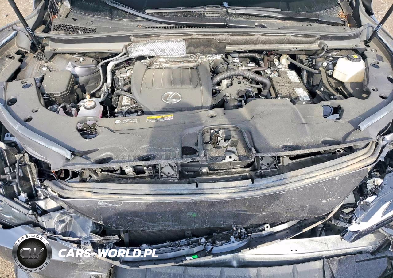 2025 Lexus Rx 350 Premium VIN:2T2BAMCA7SC093833 - 12