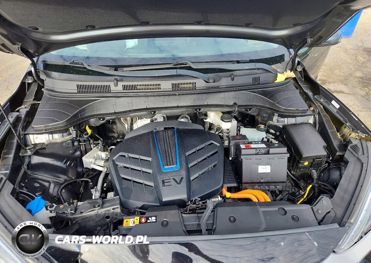 2019 Hyundai Kona Sel VIN:KM8K23AG8KU031682 - 12
