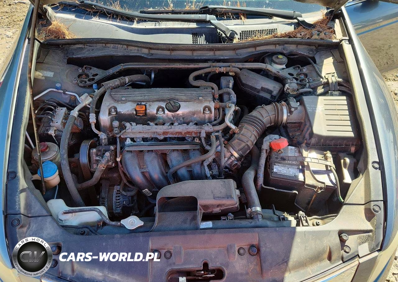 2010 Honda Accord Ex VIN:1HGCP2F70AA002403 - 11