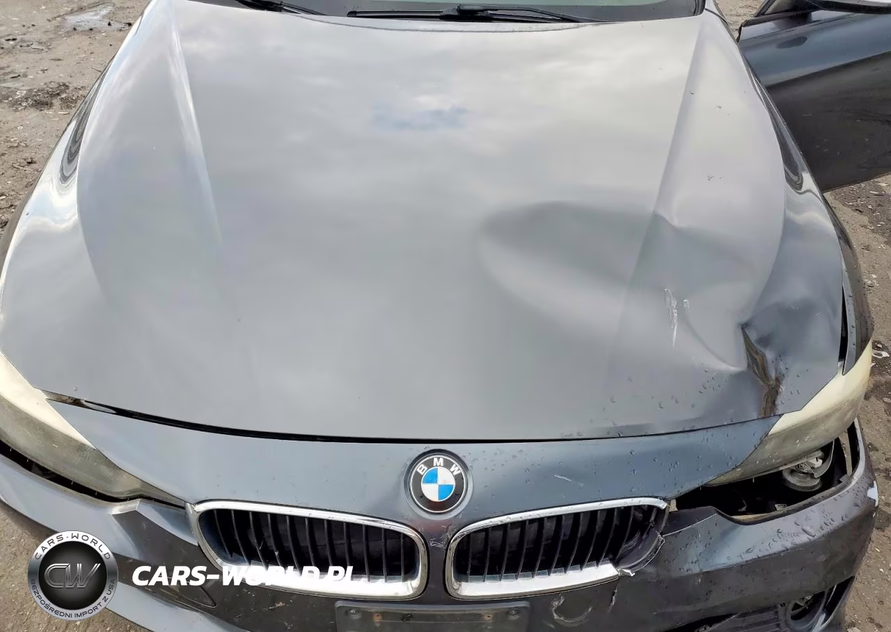 2014 BMW 320 I xDrive VIN:WBA3C3G55ENS67889 - 11