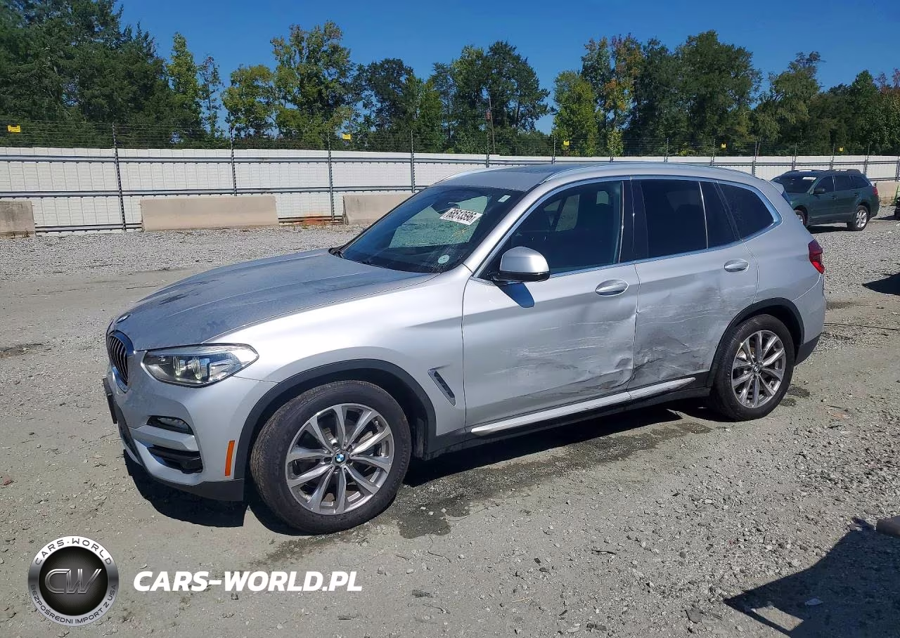 2019 BMW X3 Sdrive30I VIN:5UXTR7C57KLF24462 - 1