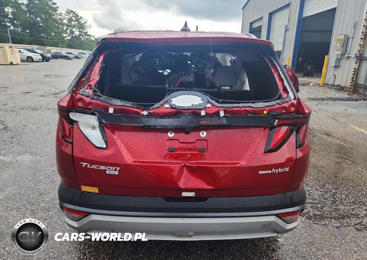 2025 Hyundai Tucson Blue VIN:KM8JBDD16SU392269 - 6
