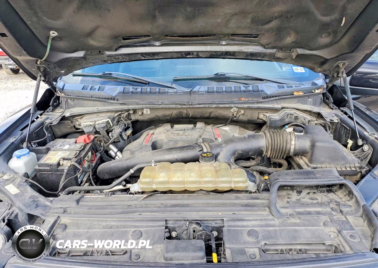 2020 Ford F150 Raptor VIN:1FTFW1RG2LFA13428 - 11