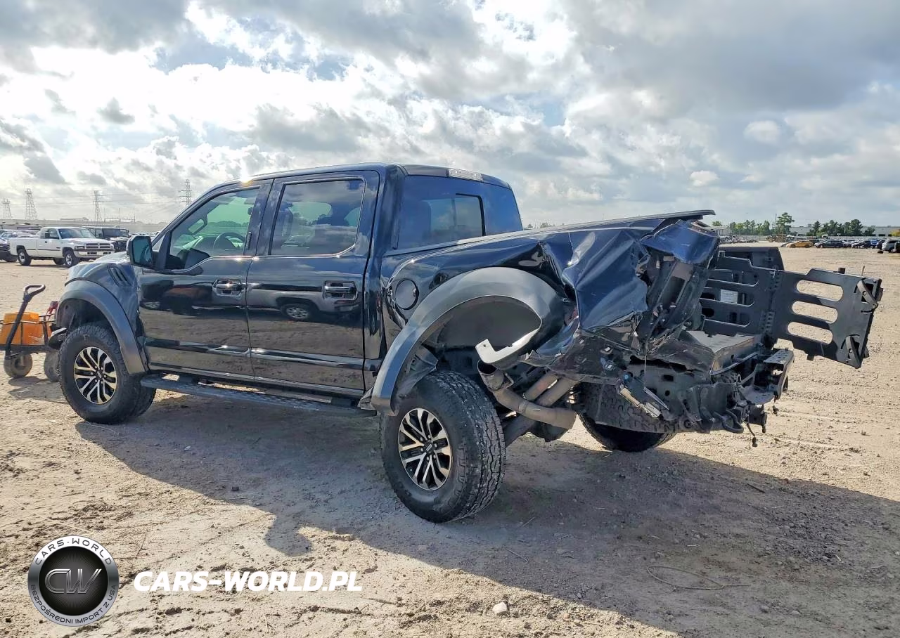 2020 Ford F150 Raptor VIN:1FTFW1RG2LFA13428 - 2