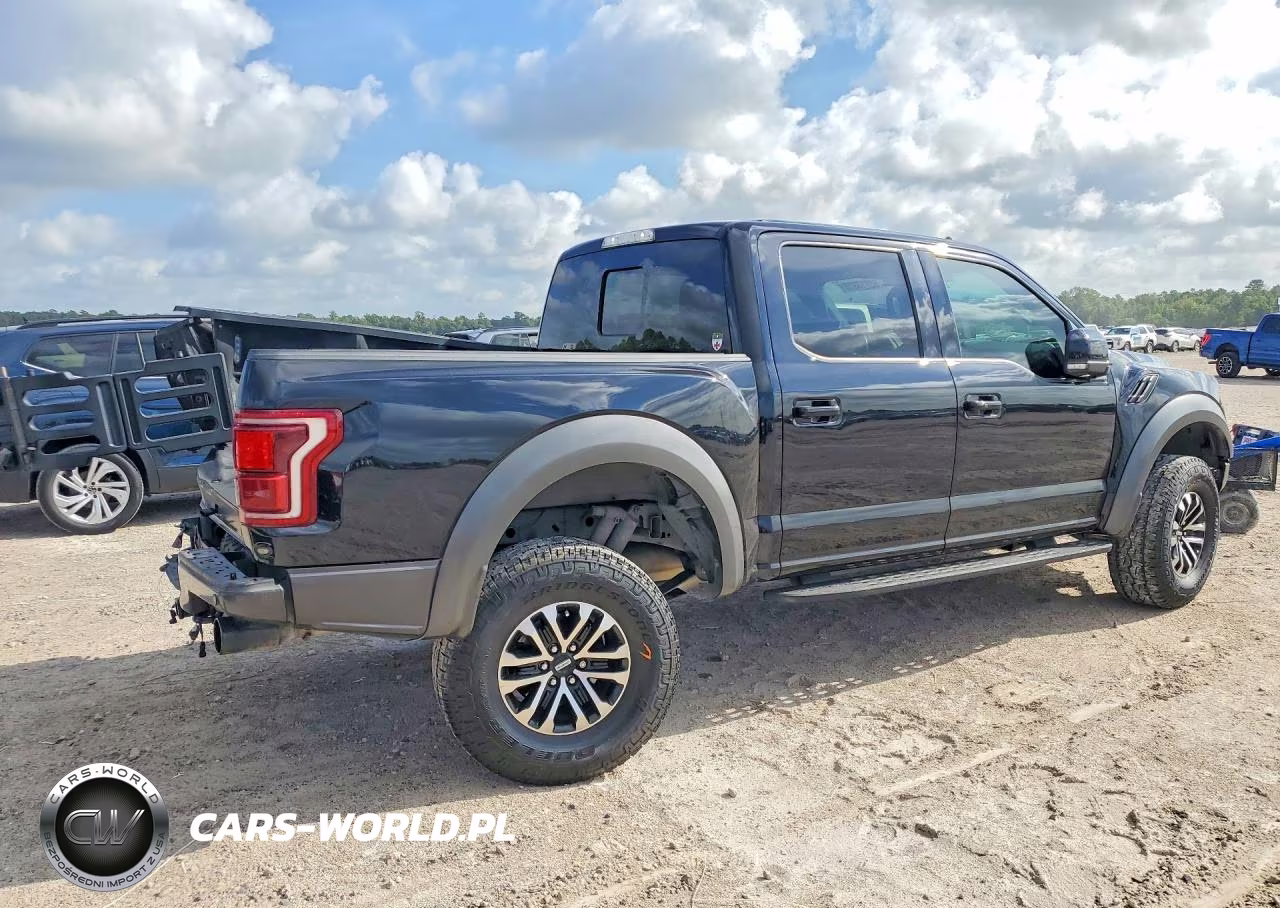 2020 Ford F150 Raptor VIN:1FTFW1RG2LFA13428 - 3