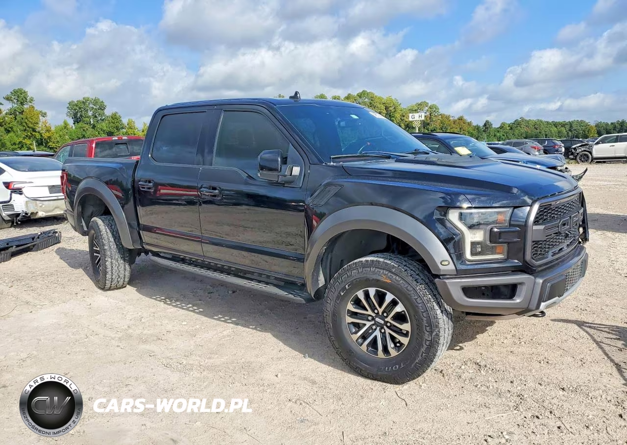 2020 Ford F150 Raptor VIN:1FTFW1RG2LFA13428 - 4