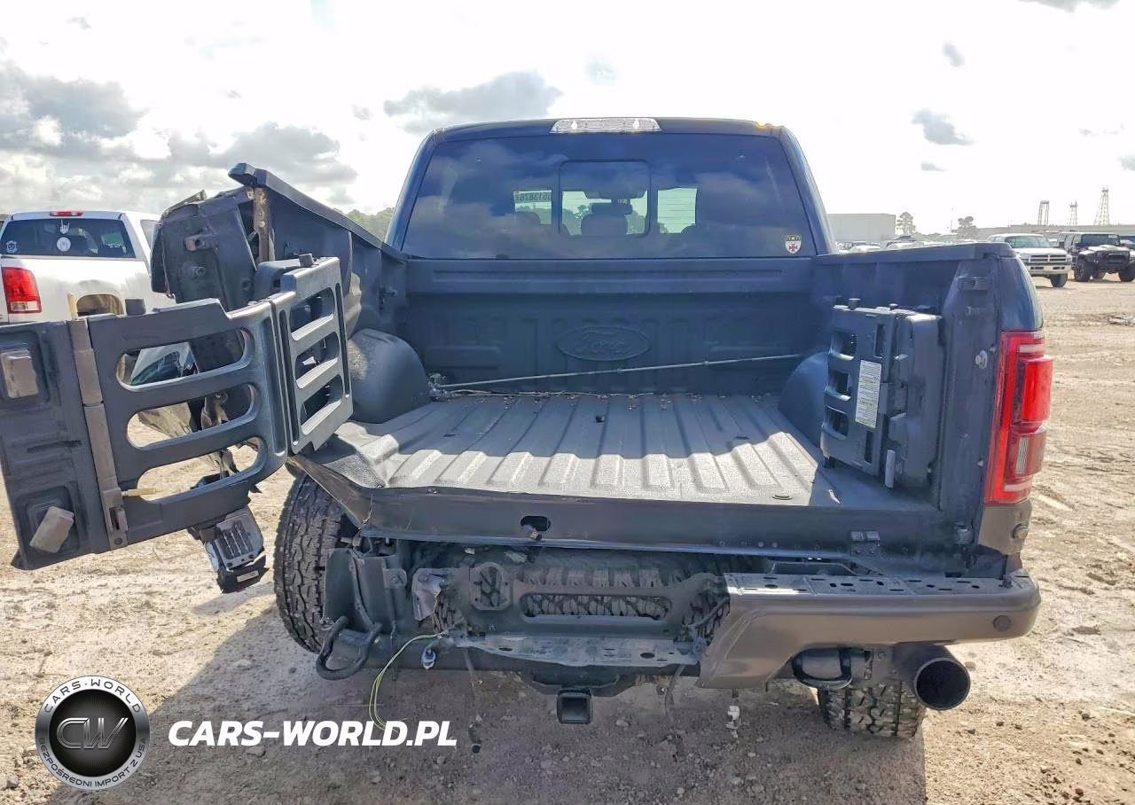 2020 Ford F150 Raptor VIN:1FTFW1RG2LFA13428 - 6