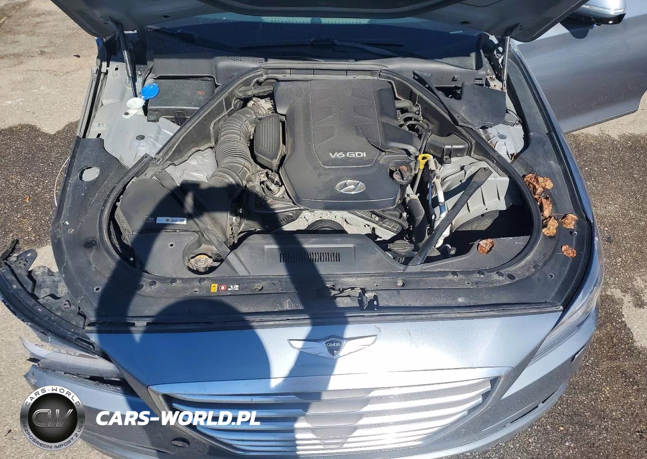 2015 Hyundai Genesis 3.8L VIN:KMHGN4JE6FU096070 - 11