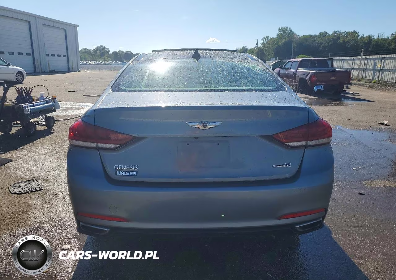 2015 Hyundai Genesis 3.8L VIN:KMHGN4JE6FU096070 - 6
