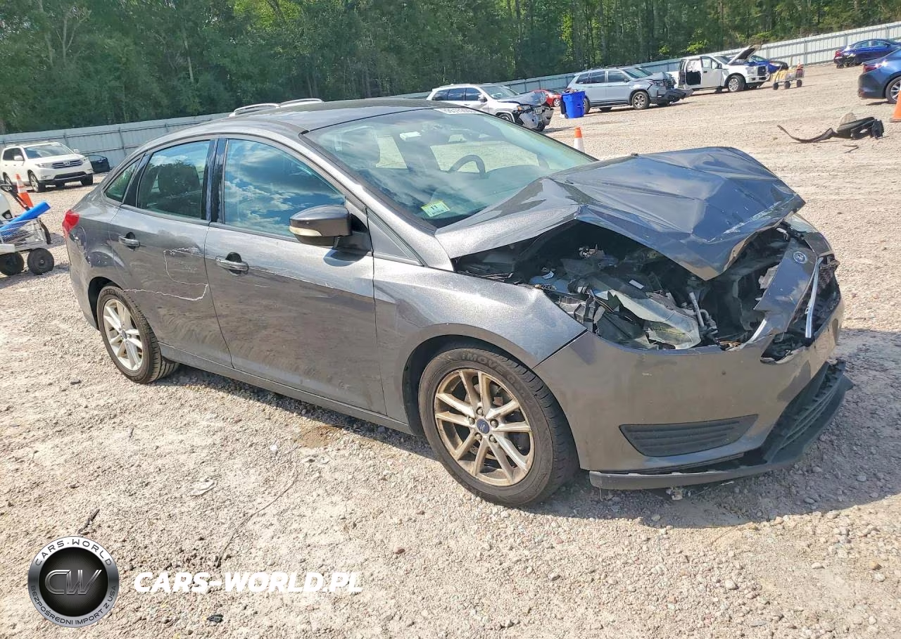 2016 Ford Focus Se VIN:1FADP3F21GL260817 - 4