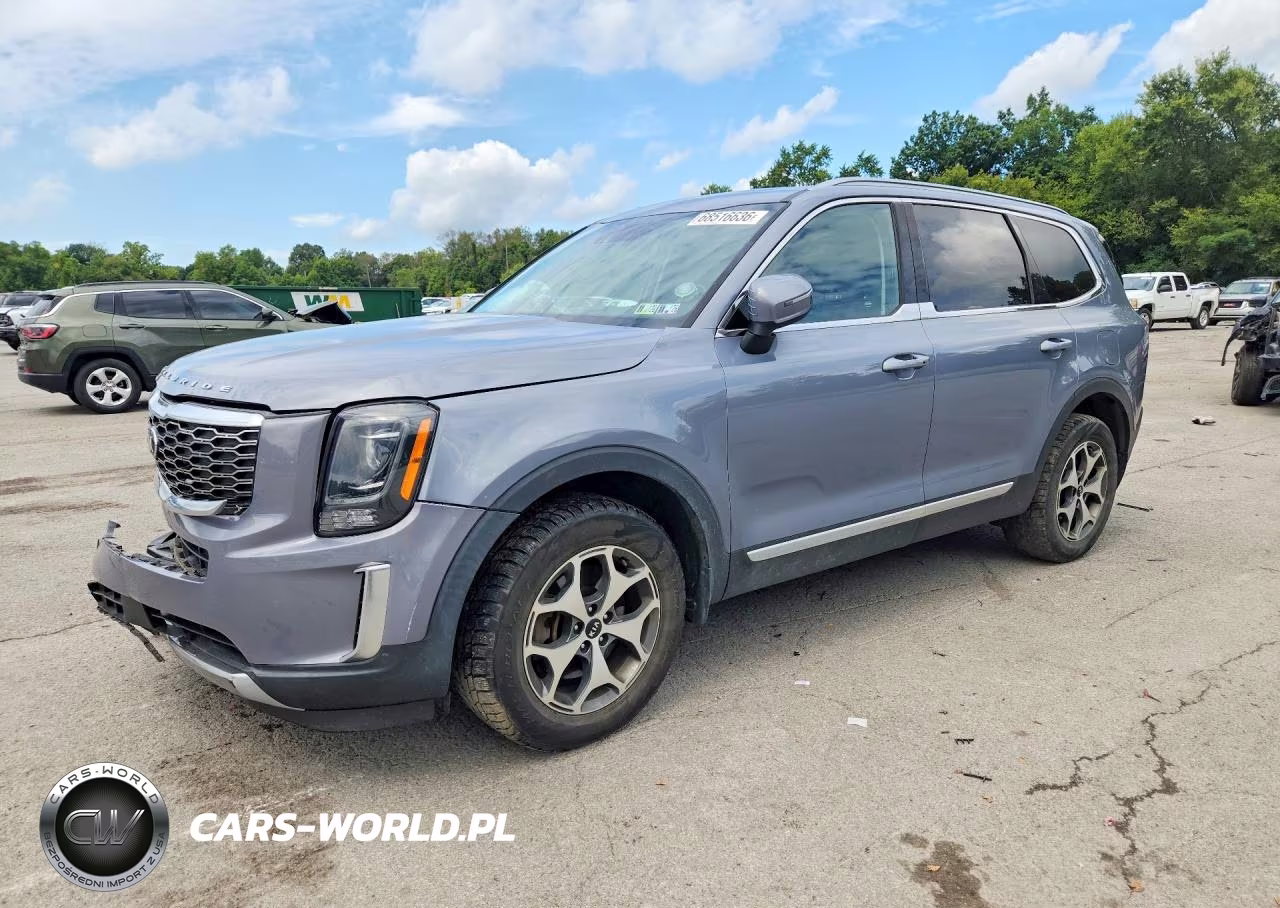 2020 Kia Telluride Ex VIN:5XYP3DHC7LG041347 - 1