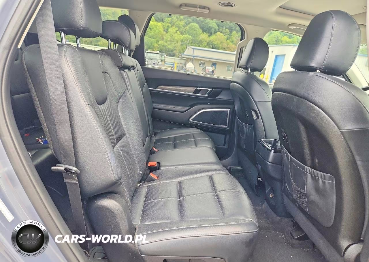 2020 Kia Telluride Ex VIN:5XYP3DHC7LG041347 - 11
