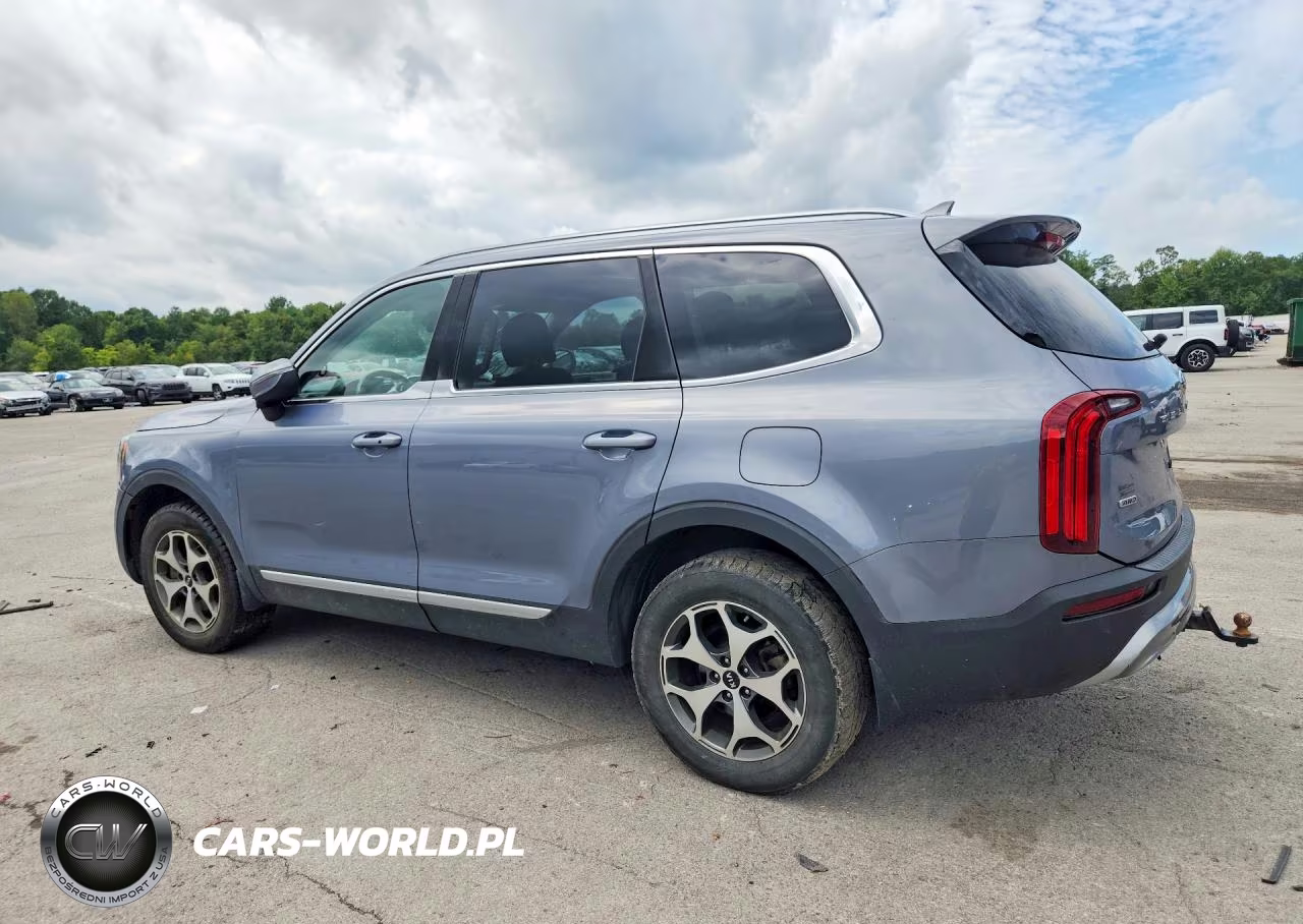 2020 Kia Telluride Ex VIN:5XYP3DHC7LG041347 - 2