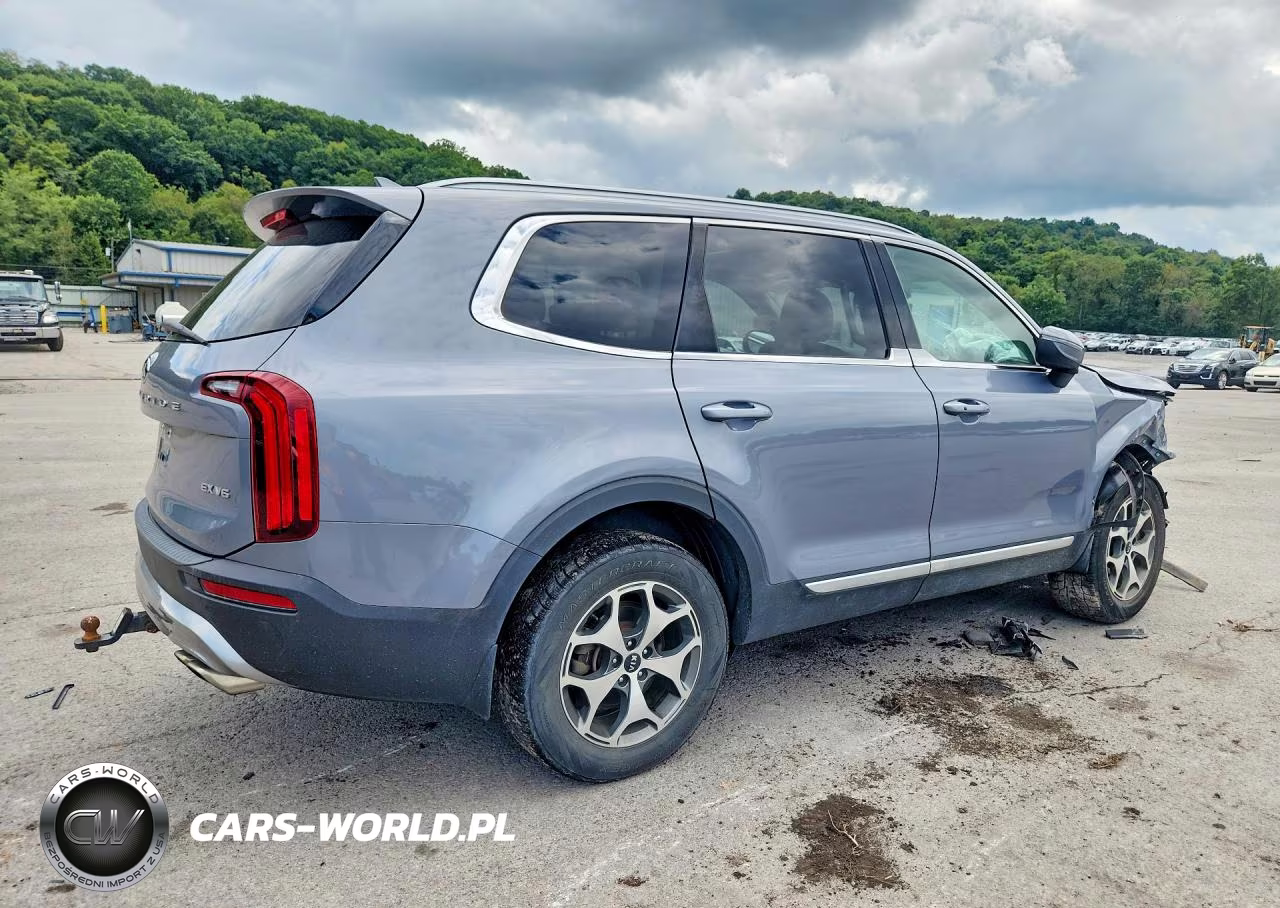 2020 Kia Telluride Ex VIN:5XYP3DHC7LG041347 - 3