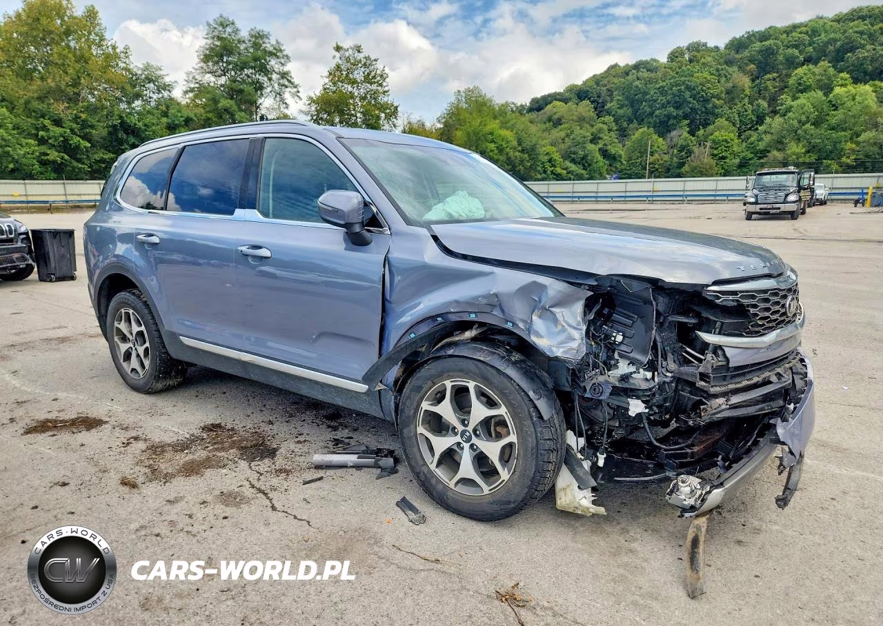 2020 Kia Telluride Ex VIN:5XYP3DHC7LG041347 - 4