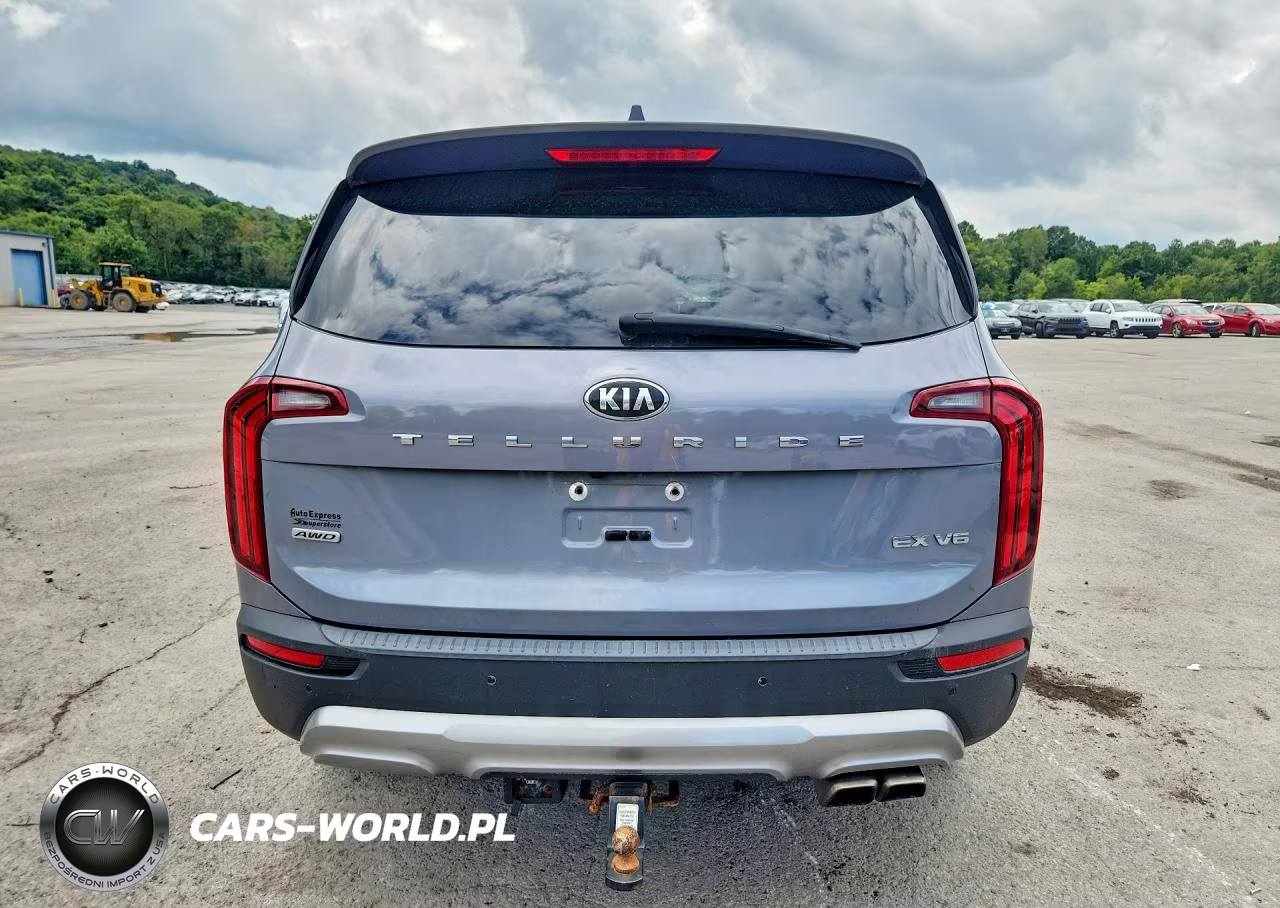 2020 Kia Telluride Ex VIN:5XYP3DHC7LG041347 - 6