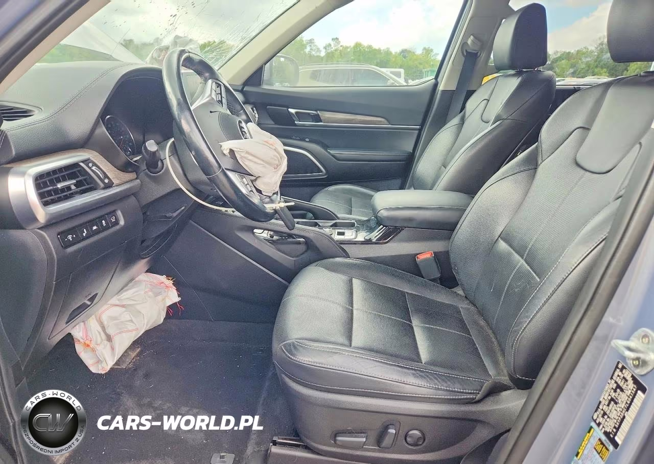 2020 Kia Telluride Ex VIN:5XYP3DHC7LG041347 - 7