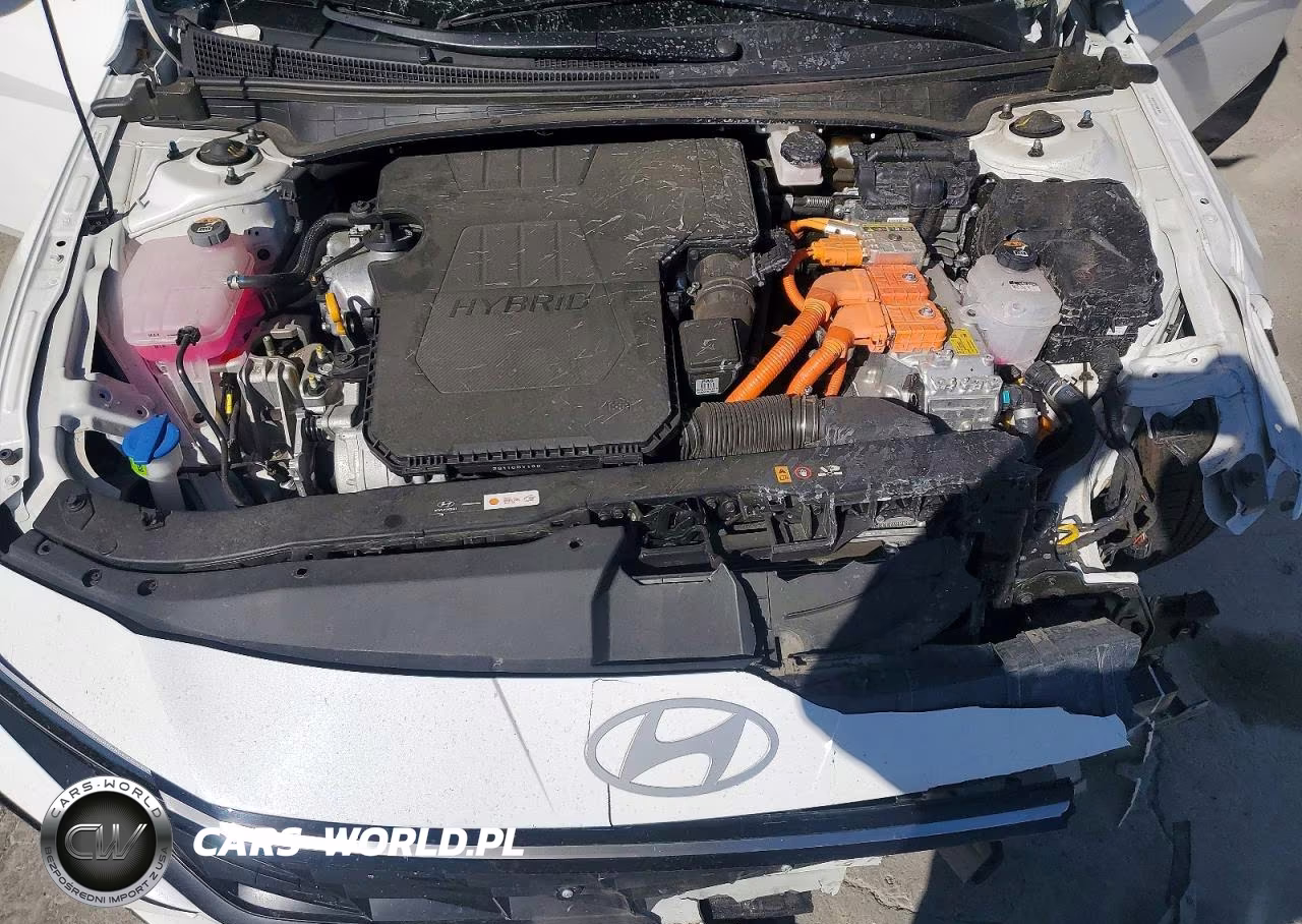 2025 Hyundai Elantra Limited VIN:KMHLN4DJXSU163870 - 11