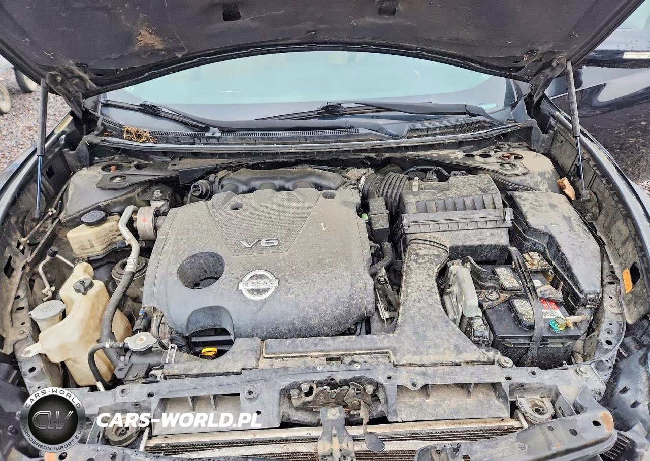 2009 Nissan Maxima 3.5 S VIN:1N4AA51E59C834307 - 11