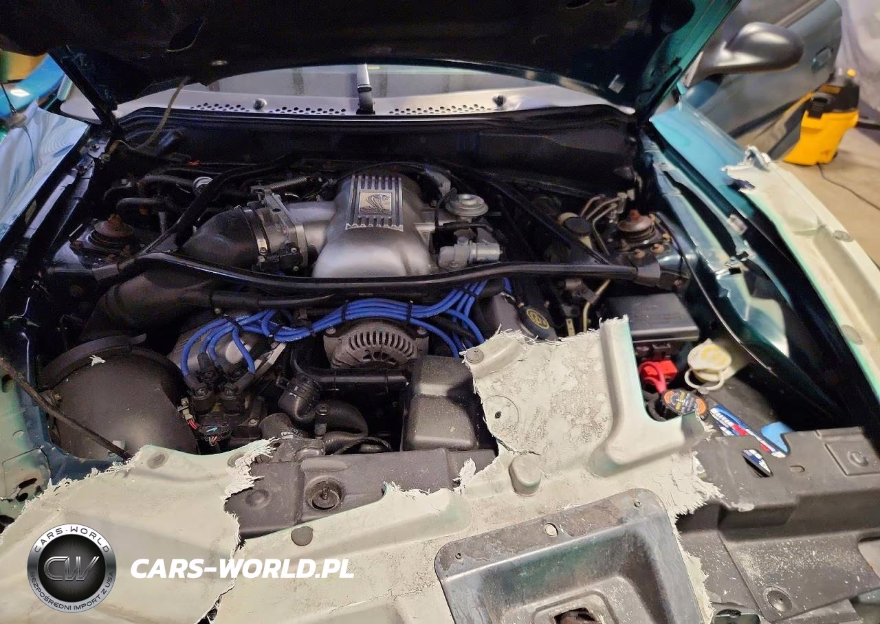 1997 Ford Mustang Cobra VIN:1FALP46V2VF169689 - 11