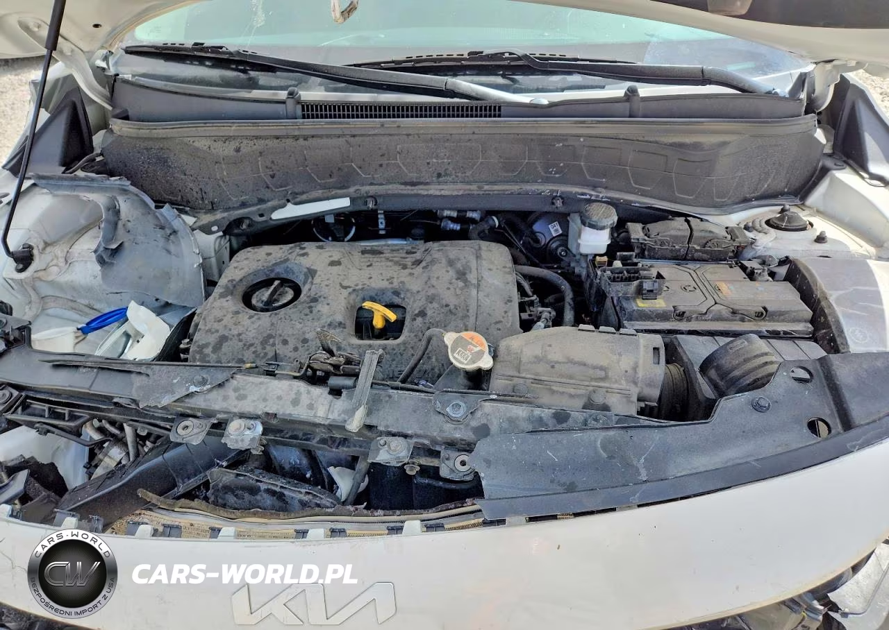 2023 Kia Seltos Lx VIN:KNDEPCAA4P7391181 - 11