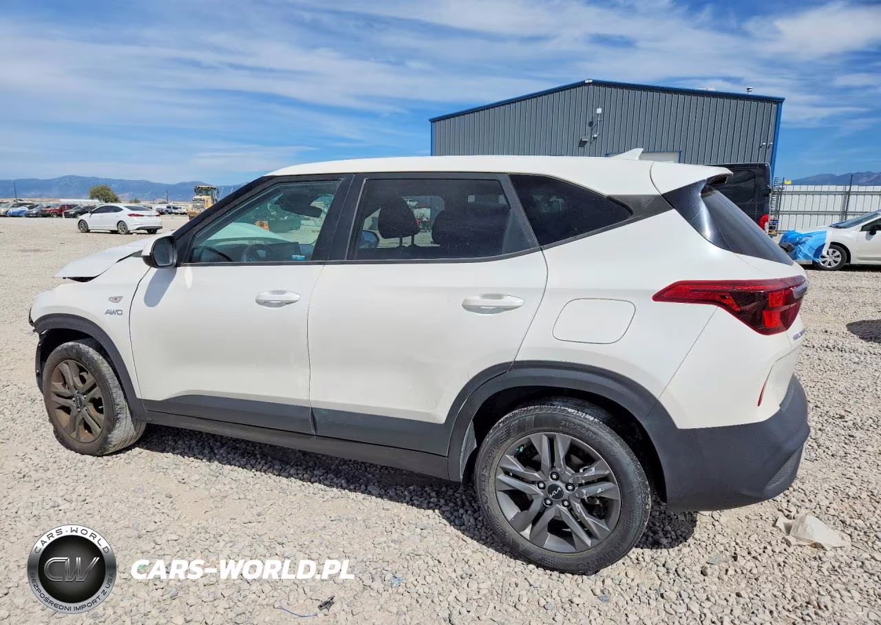 2023 Kia Seltos Lx VIN:KNDEPCAA4P7391181 - 2