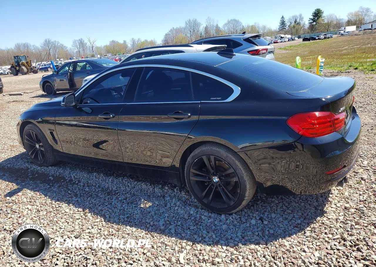 2016 BMW 428 Xi Gran Coupe Sulev VIN:WBA4C9C54GG138594 - 2
