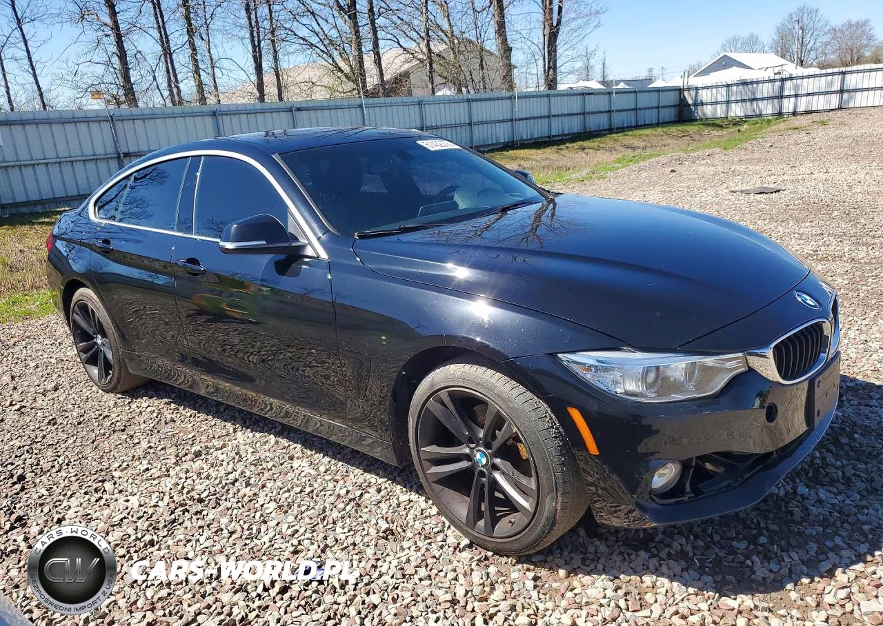 2016 BMW 428 Xi Gran Coupe Sulev VIN:WBA4C9C54GG138594 - 4