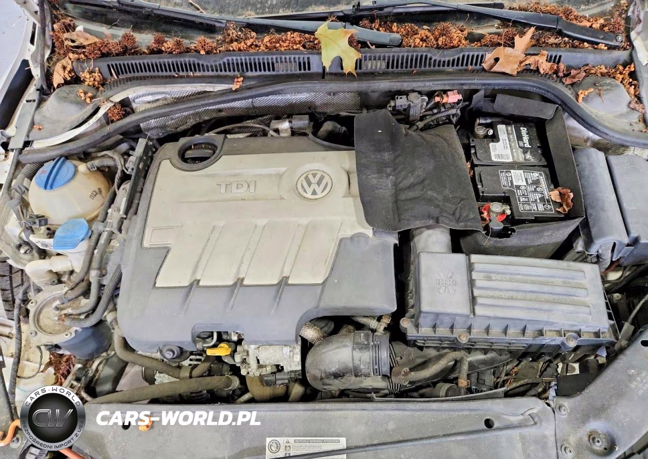 2014 Volkswagen Jetta Tdi VIN:3VWLL7AJ3EM374253 - 11