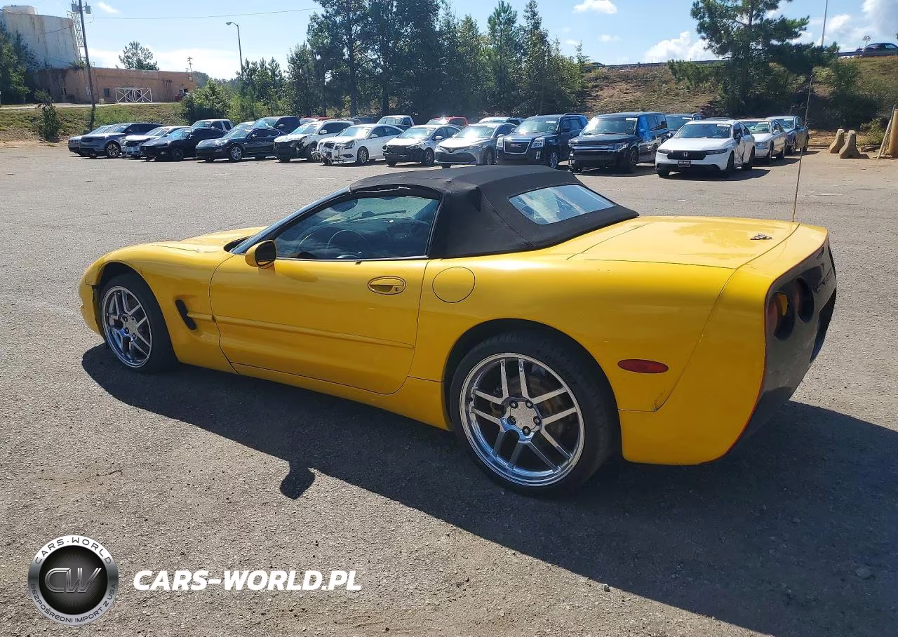 2002 Chevrolet Corvette VIN:1G1YY32G325133521 - 2