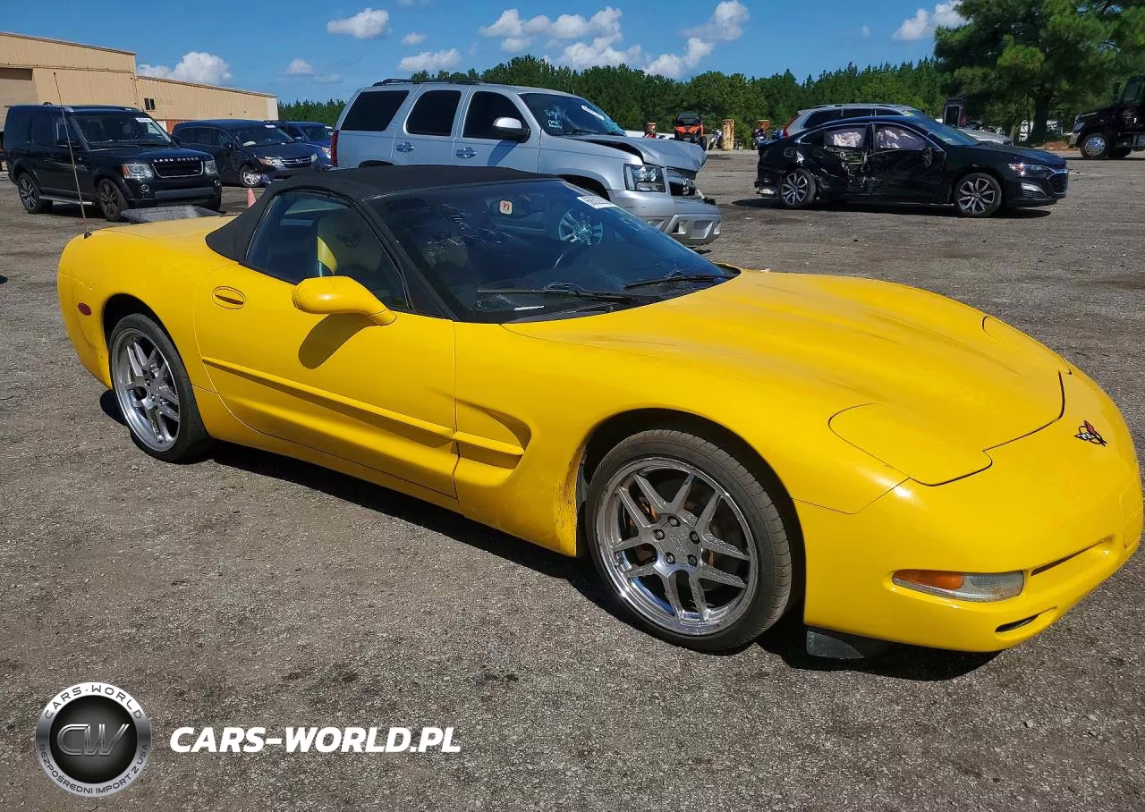 2002 Chevrolet Corvette VIN:1G1YY32G325133521 - 4