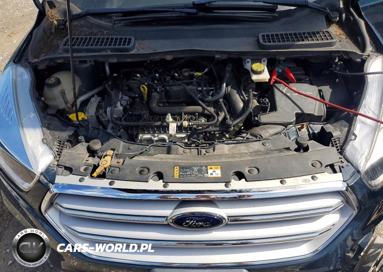 2019 Ford Escape Se VIN:1FMCU9GD9KUA28403 - 12