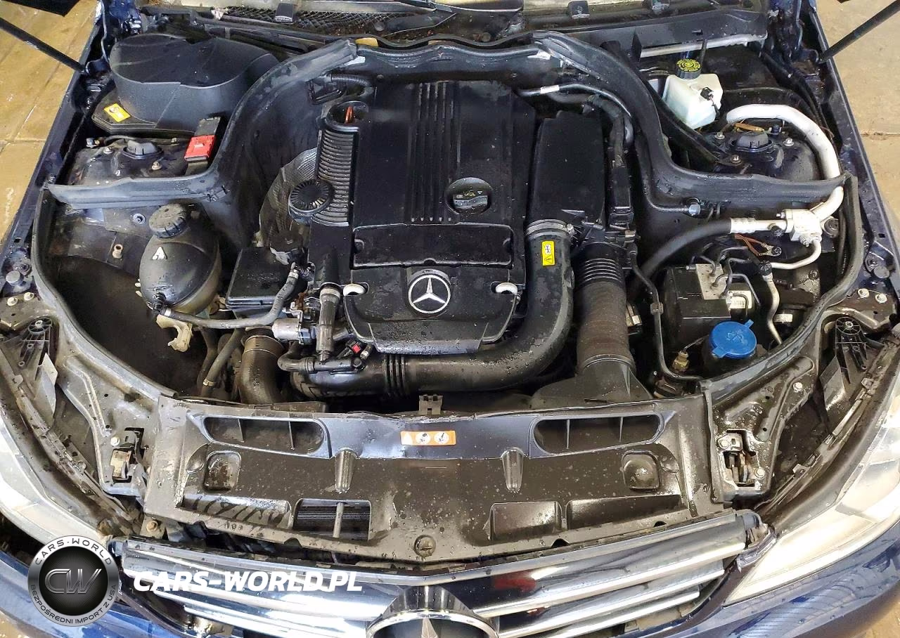 2014 Mercedes-Benz C 250 VIN:WDDGF4HB5EG253569 - 11