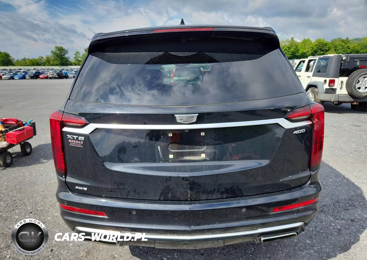 2021 Cadillac Xt6 Premium Luxury VIN:1GYKPDRS2MZ117347 - 6