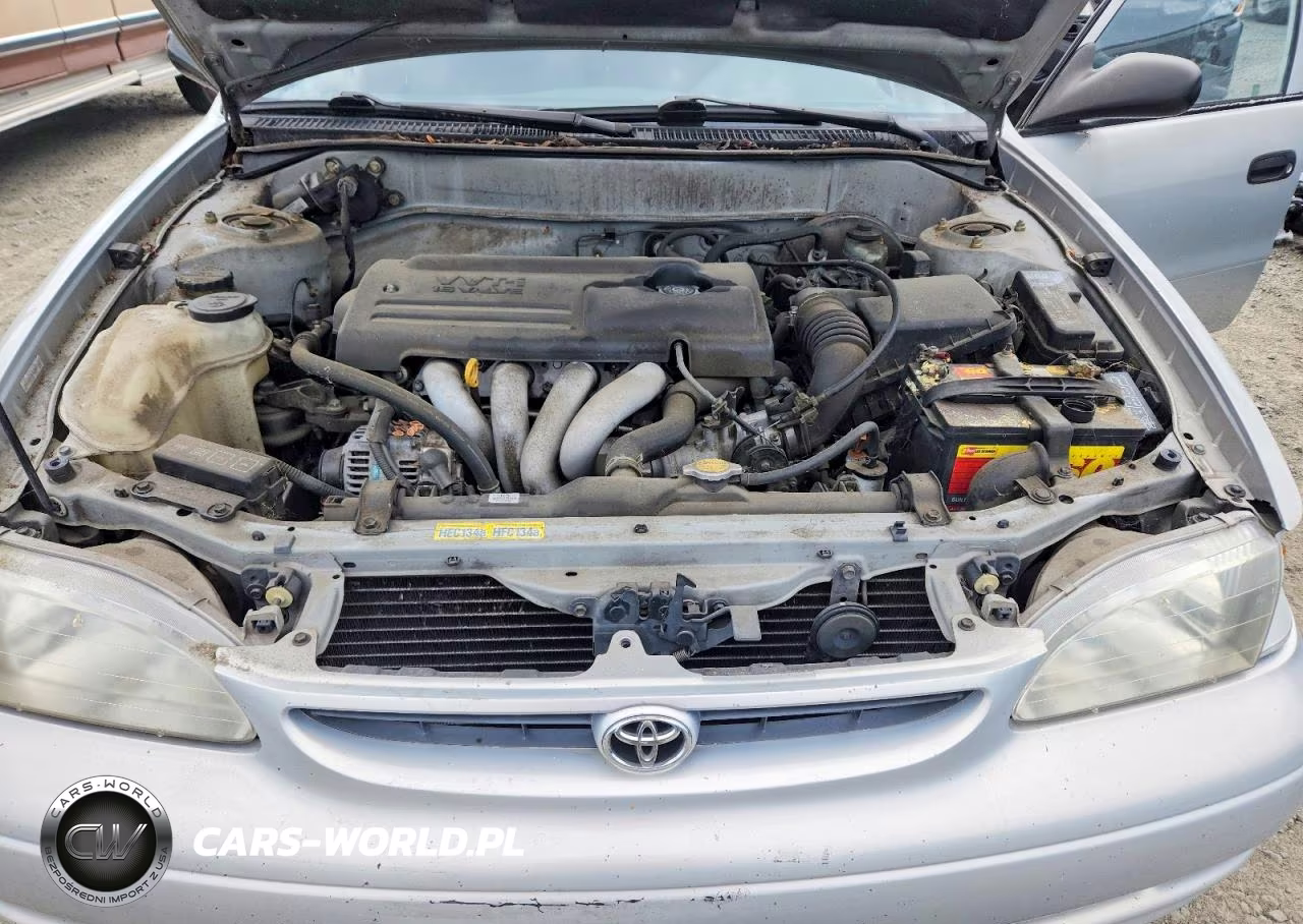 2000 Toyt Corolla VIN:1NXBR12E9YZ365600 - 11