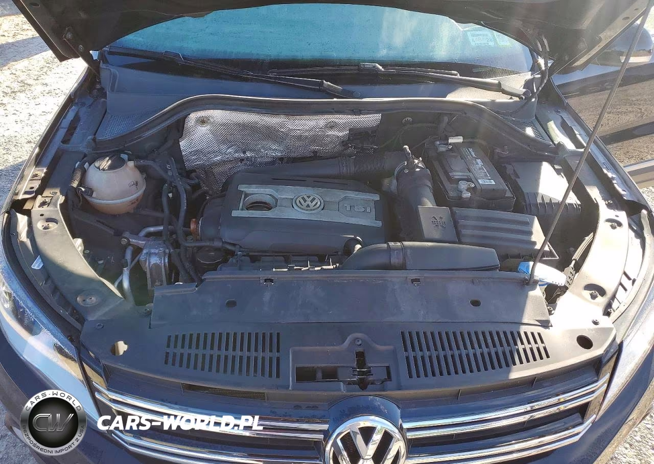 2012 Volkswagen Tiguan S VIN:WVGBV7AX4CW503851 - 12