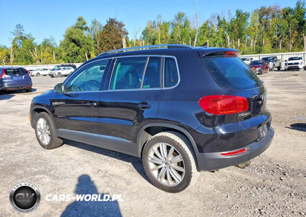 2012 Volkswagen Tiguan S VIN:WVGBV7AX4CW503851 - 2
