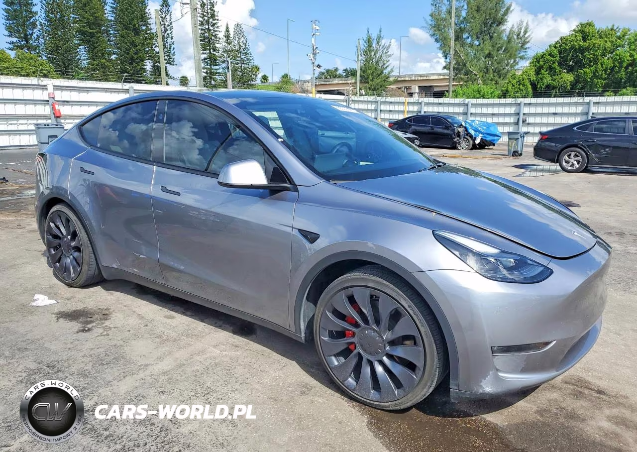 2024 Tesla Model Y VIN:7SAYGDEF3RA306935 - 4