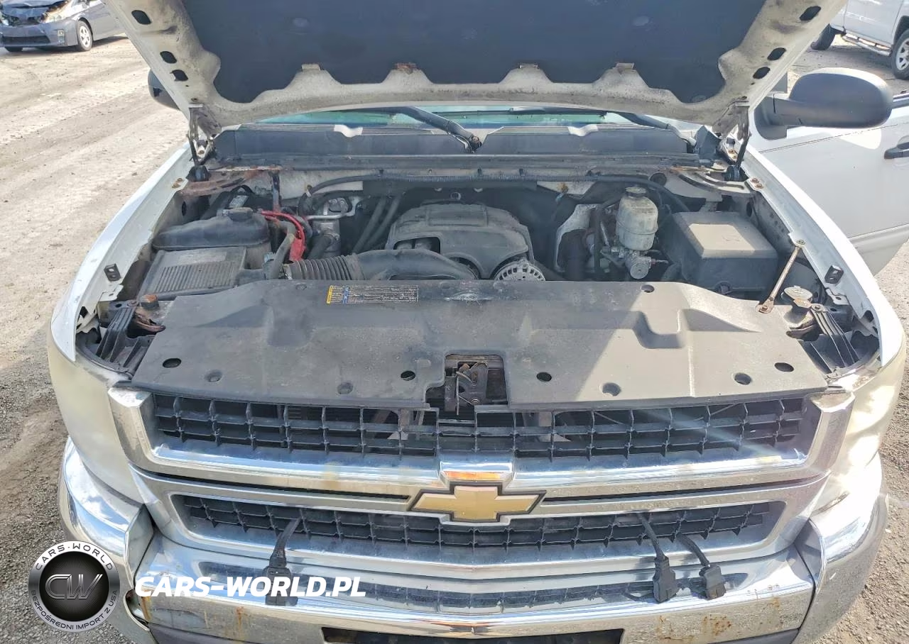 2010 Chevrolet Silverado K2500 Heavy Duty Lt VIN:1GC5KXBG6AZ243859 - 11