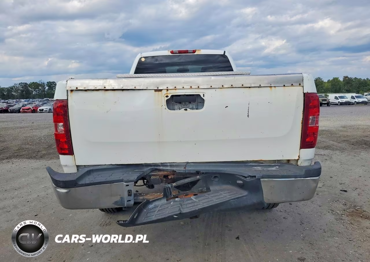 2010 Chevrolet Silverado K2500 Heavy Duty Lt VIN:1GC5KXBG6AZ243859 - 6