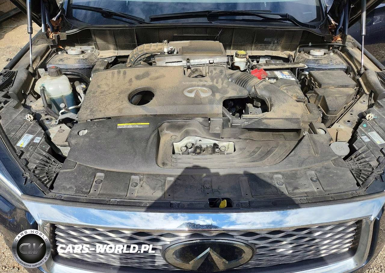 2019 Infiniti Qx50 Luxe VIN:3PCAJ5M3XKF135509 - 12