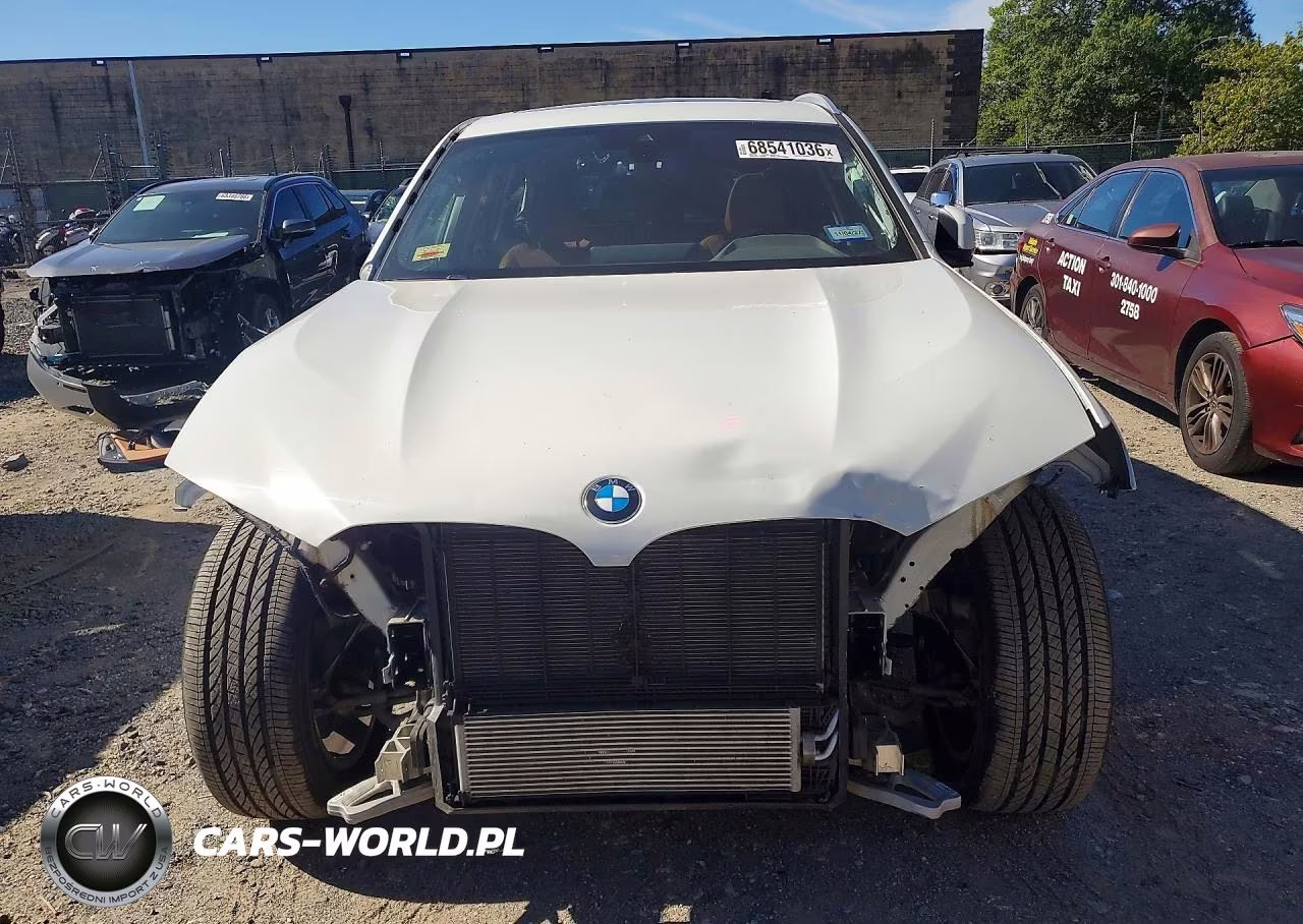 2023 BMW X3 xDrive30I VIN:5UX53DP05P9P56440 - 5