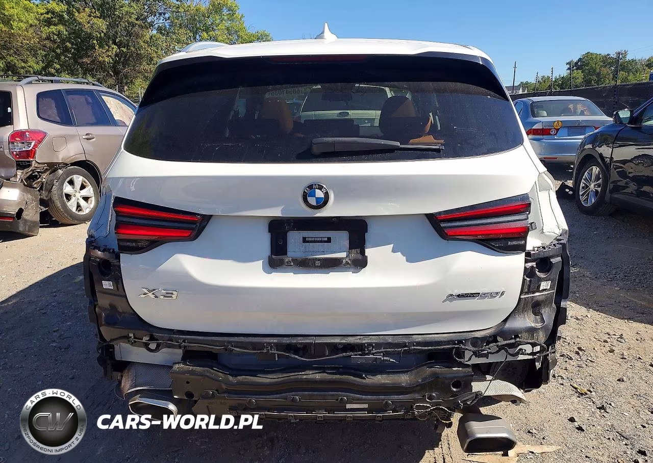 2023 BMW X3 xDrive30I VIN:5UX53DP05P9P56440 - 6
