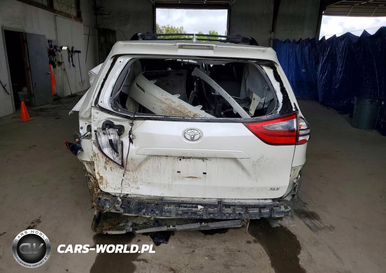 2020 Toyota Sienna Xle 8-Passenger VIN:5TDYZ3DC7LS060602 - 6