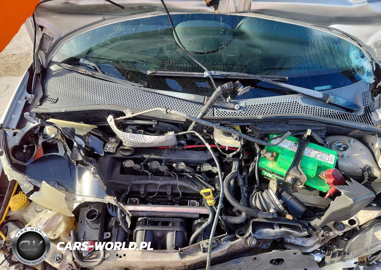 2009 Ford Focus Ses VIN:1FAHP36N19W188983 - 11