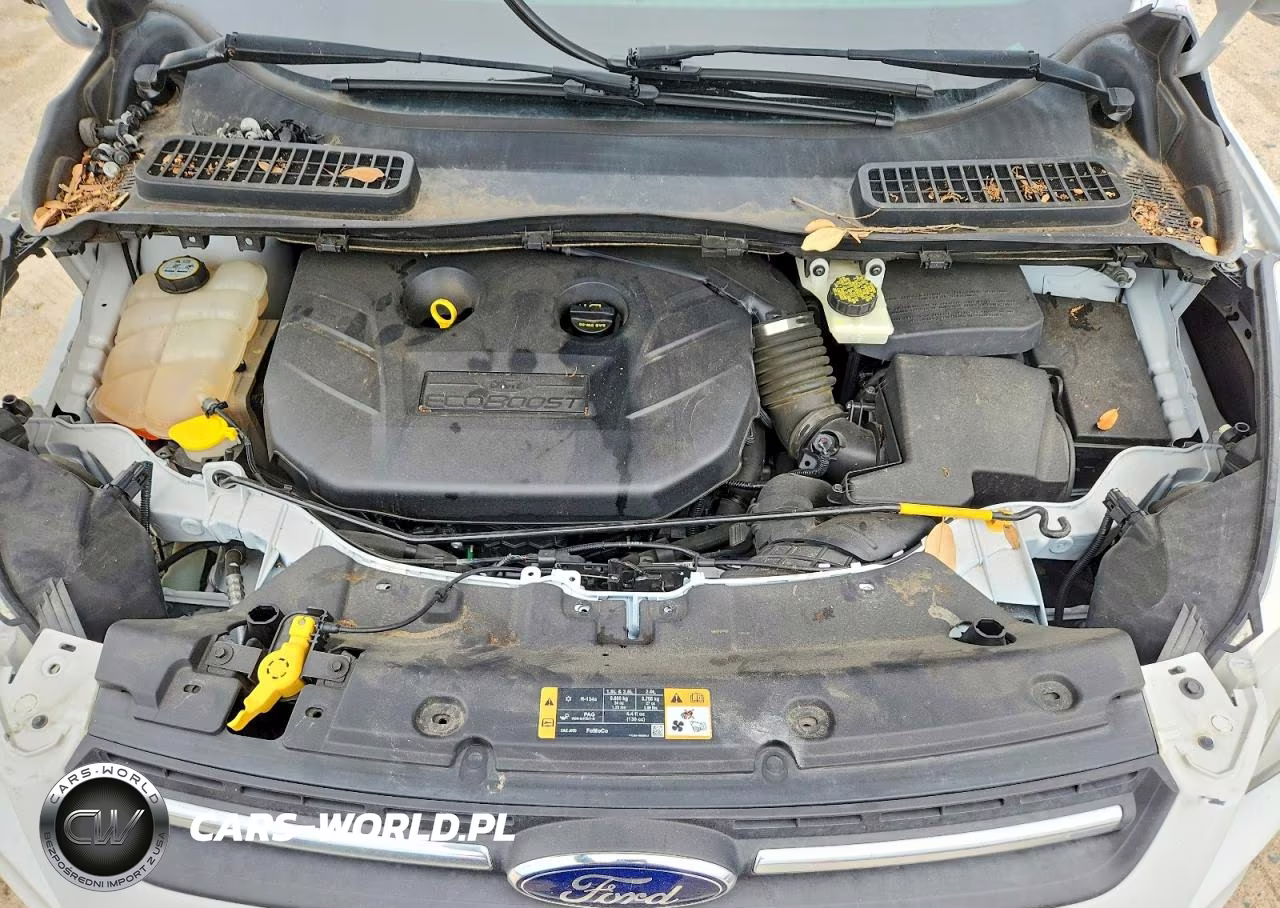 2014 Ford Escape Se VIN:1FMCU0G91EUA44848 - 12