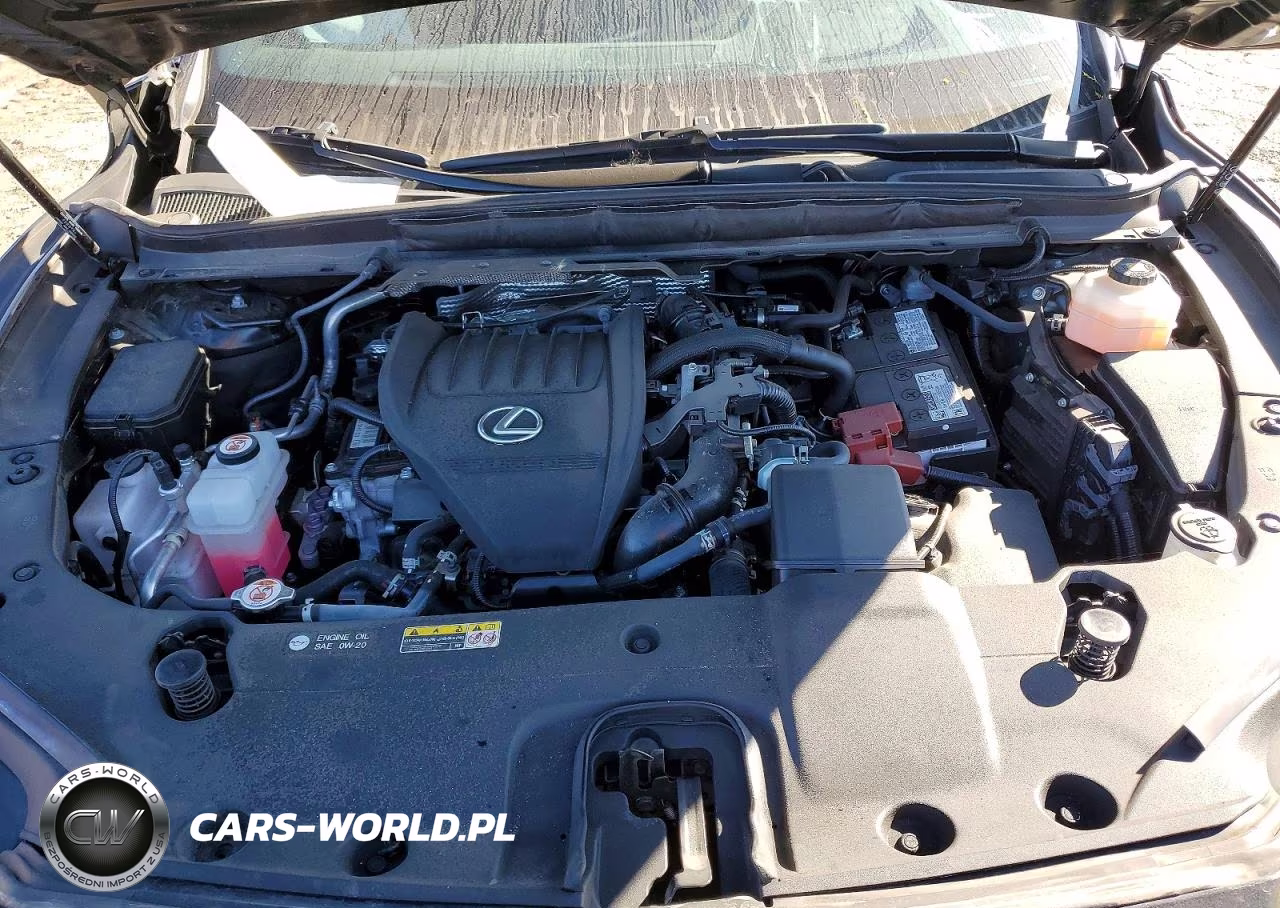 2024 Lexus Rx 350 Premium+ VIN:2T2BAMCA4RC043563 - 12