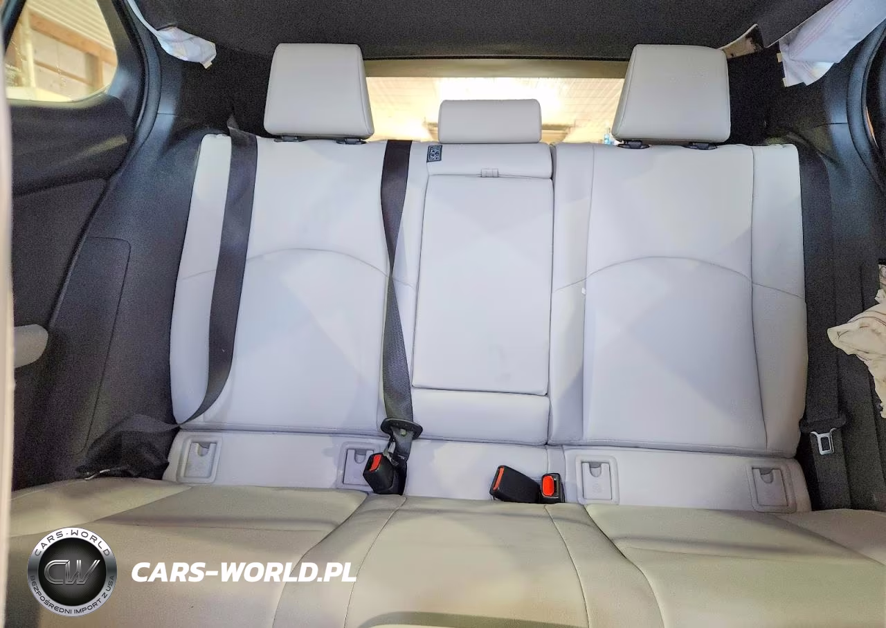 2019 Lexus Ux 250H VIN:JTHU9JBH3K2014934 - 10